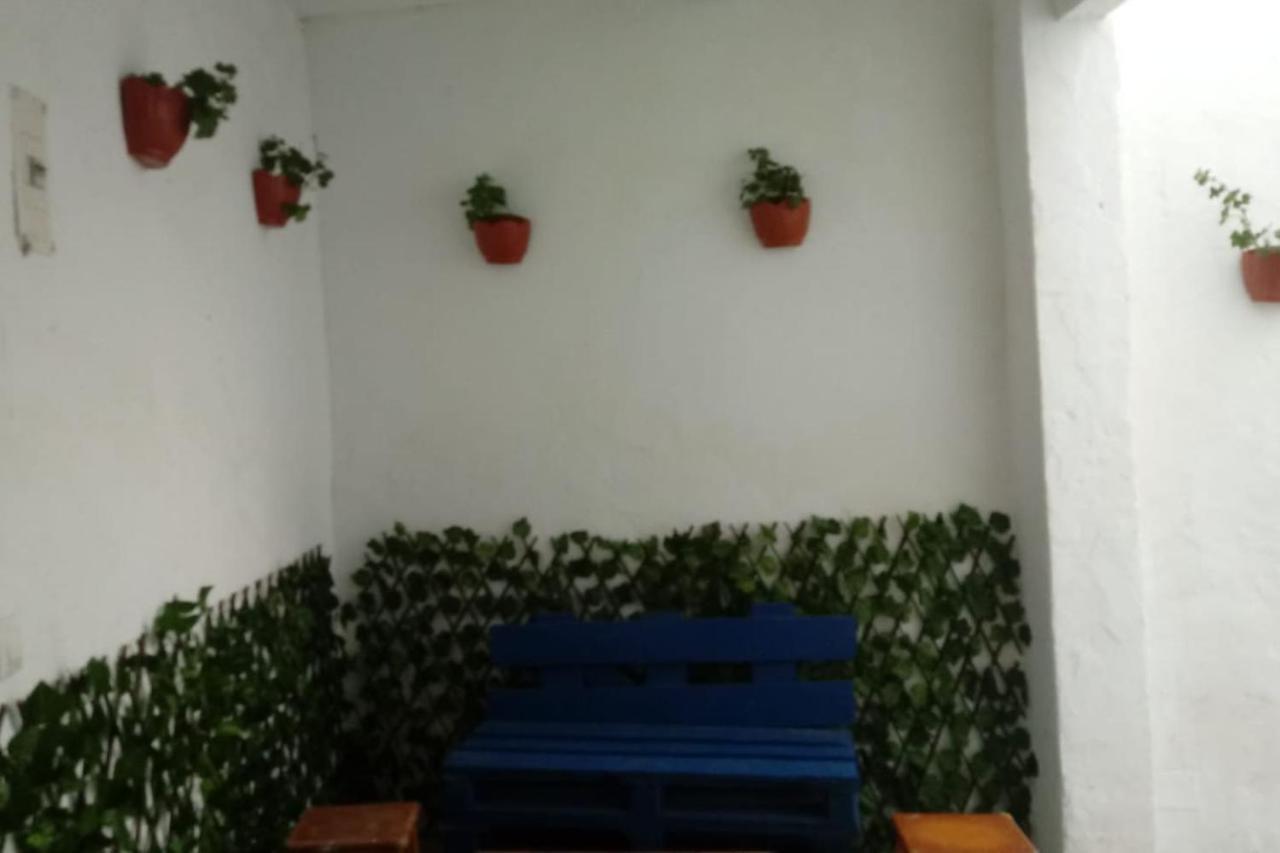 Alojamiento Del Duende Vejer de la Frontera Ngoại thất bức ảnh